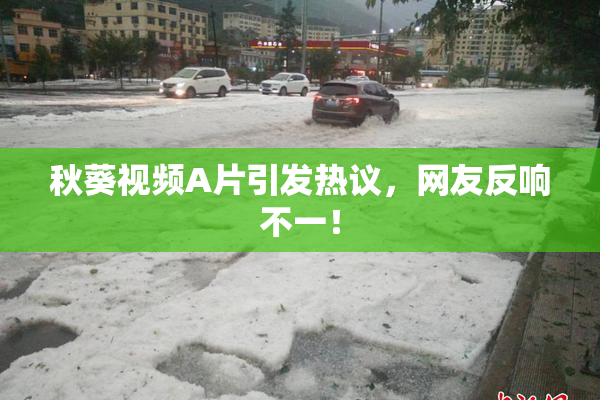 秋葵视频A片引发热议，网友反响不一！