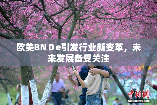 欧美BNＤe引发行业新变革，未来发展备受关注