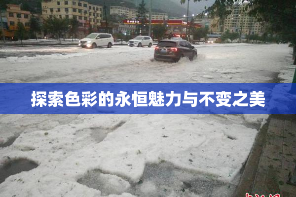 探索色彩的永恒魅力与不变之美