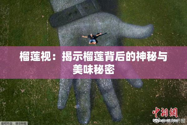 榴莲视：揭示榴莲背后的神秘与美味秘密