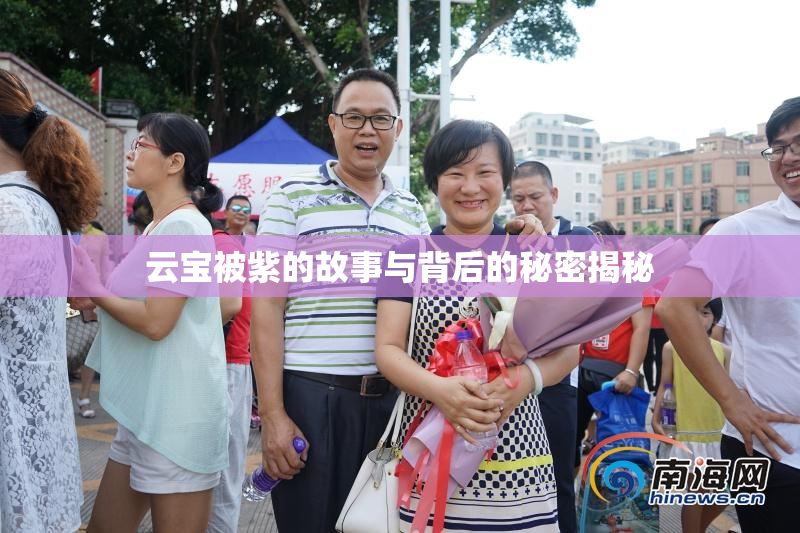 云宝被紫的故事与背后的秘密揭秘