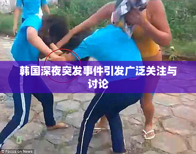 韩国深夜突发事件引发广泛关注与讨论
