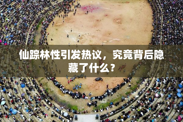 仙踪林性引发热议，究竟背后隐藏了什么？