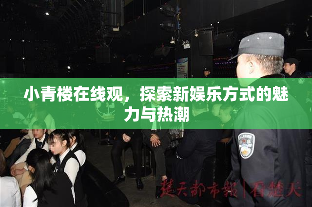 小青楼在线观，探索新娱乐方式的魅力与热潮