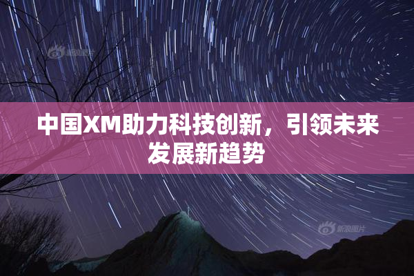 中国XM助力科技创新，引领未来发展新趋势