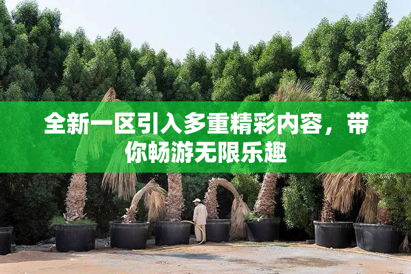 全新一区引入多重精彩内容，带你畅游无限乐趣