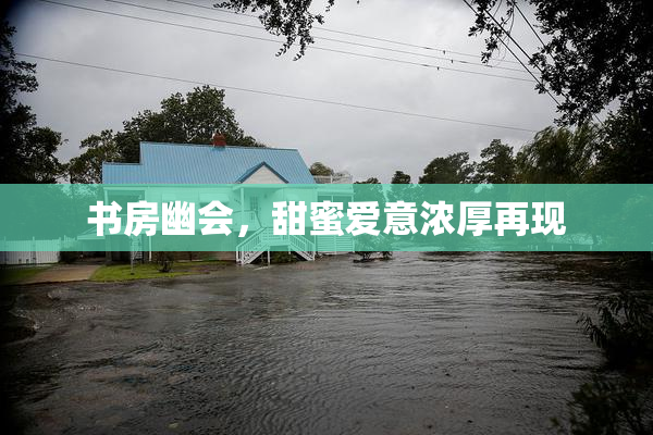 书房幽会，甜蜜爱意浓厚再现