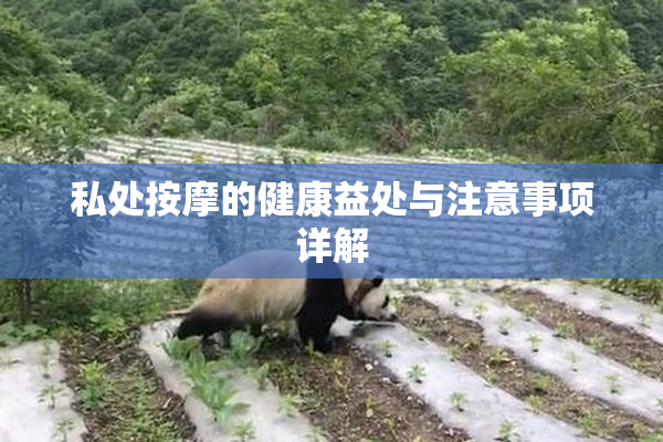 私处按摩的健康益处与注意事项详解