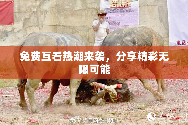 免费互看热潮来袭，分享精彩无限可能
