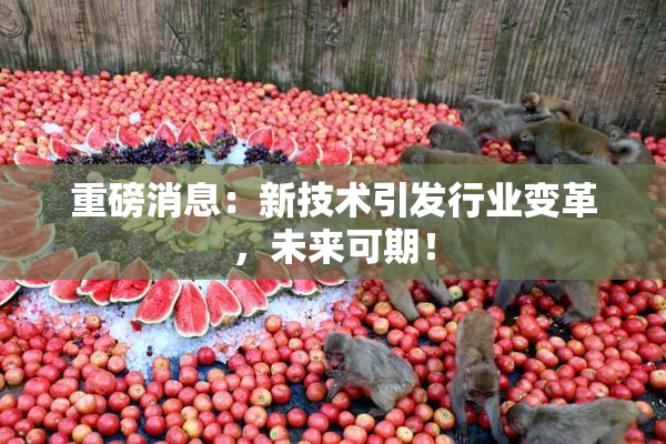 重磅消息：新技术引发行业变革，未来可期！