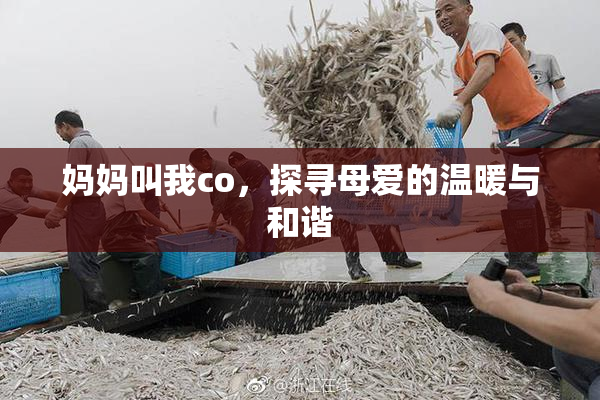 妈妈叫我co，探寻母爱的温暖与和谐