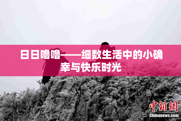 日日噜噜——细数生活中的小确幸与快乐时光