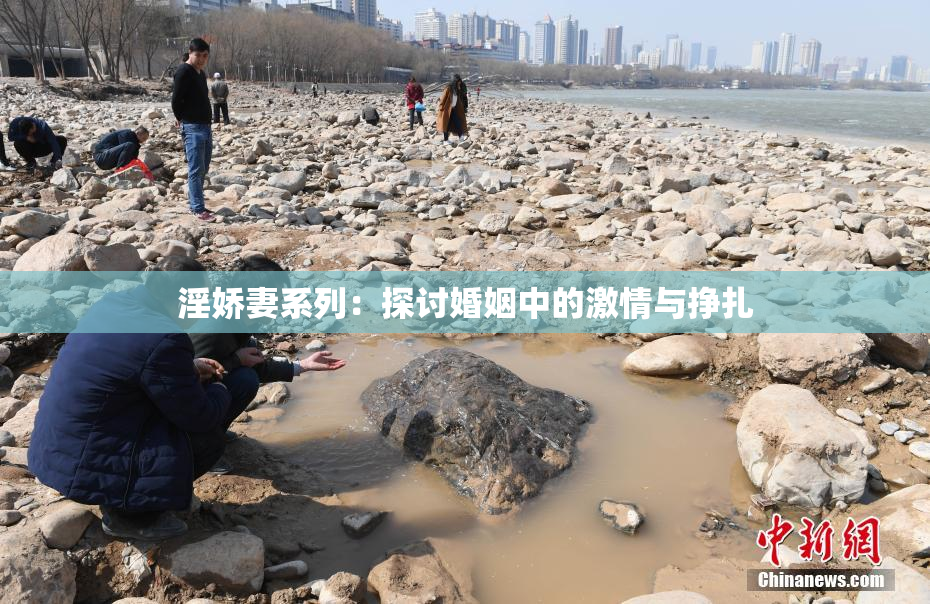 淫娇妻系列：探讨婚姻中的激情与挣扎