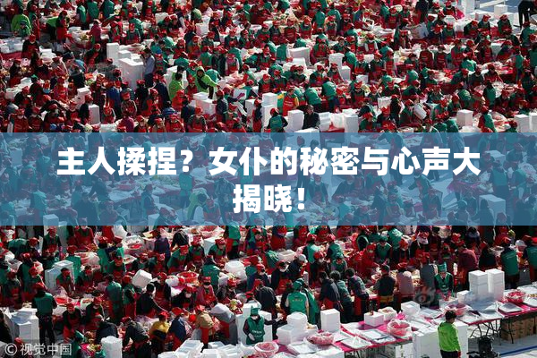 主人揉捏？女仆的秘密与心声大揭晓！