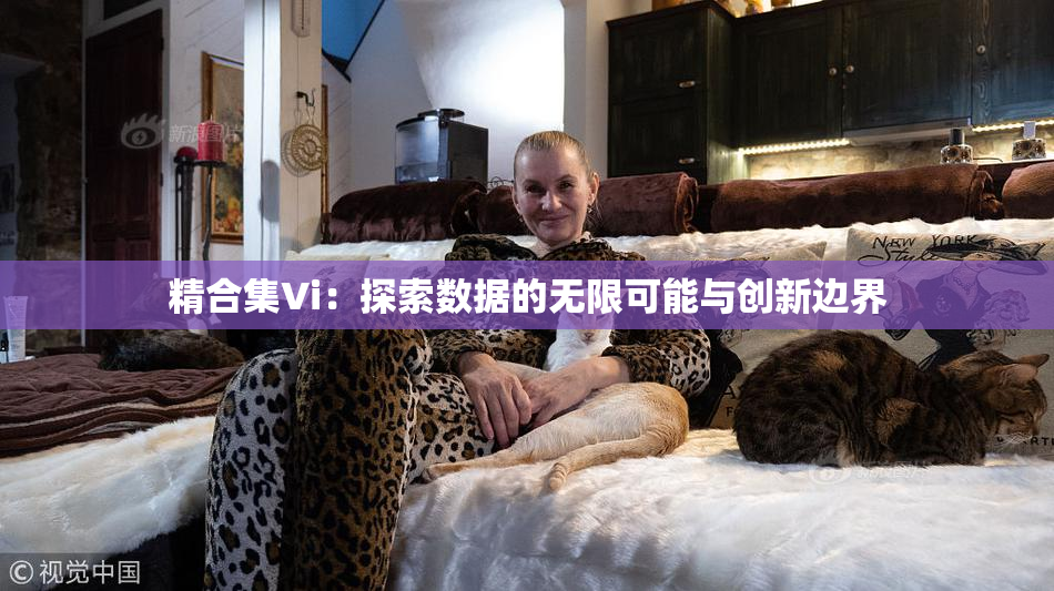 精合集Vi：探索数据的无限可能与创新边界