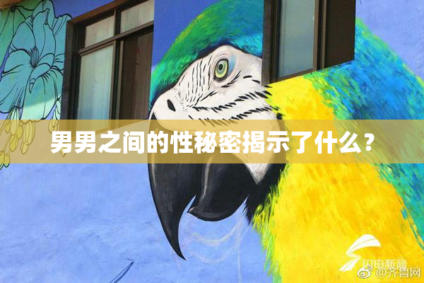 男男之间的性秘密揭示了什么？