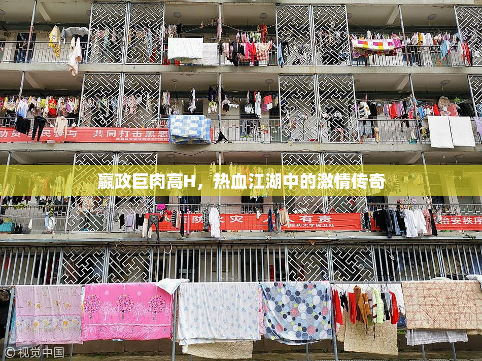嬴政巨肉高H，热血江湖中的激情传奇