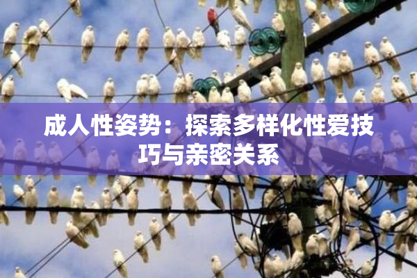 成人性姿势：探索多样化性爱技巧与亲密关系