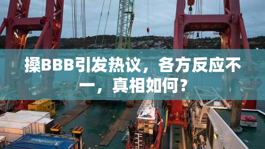 搡BBB引发热议，各方反应不一，真相如何？