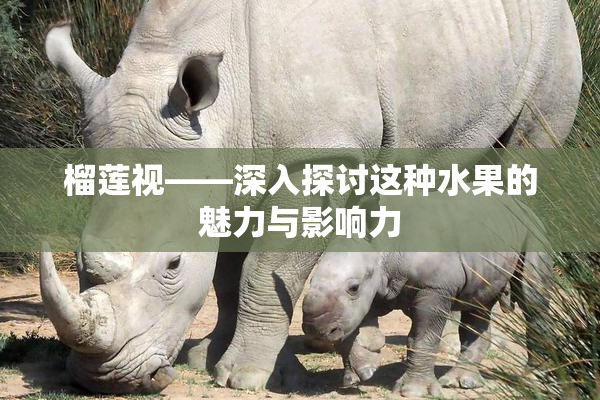 榴莲视——深入探讨这种水果的魅力与影响力