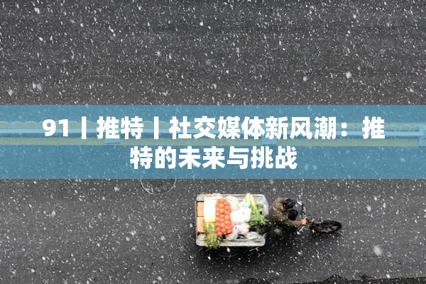 91丨推特丨社交媒体新风潮：推特的未来与挑战