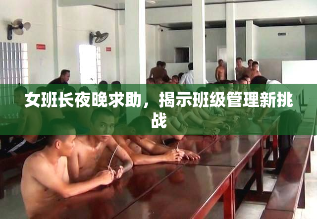 女班长夜晚求助，揭示班级管理新挑战