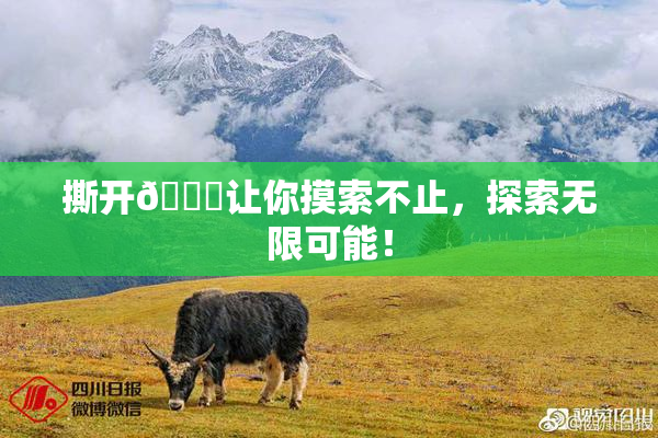 撕开👙让你摸索不止，探索无限可能！