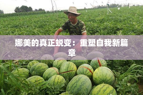 娜美的真正蜕变：重塑自我新篇章