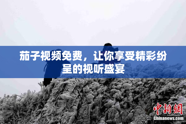 茄子视频免费，让你享受精彩纷呈的视听盛宴