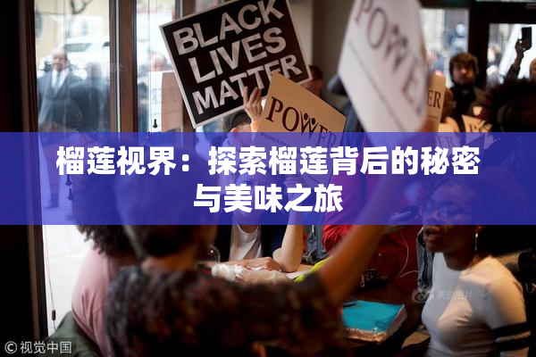 榴莲视界：探索榴莲背后的秘密与美味之旅