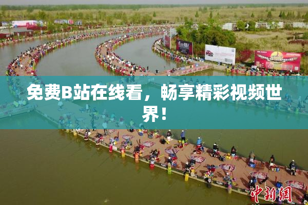 免费B站在线看，畅享精彩视频世界！