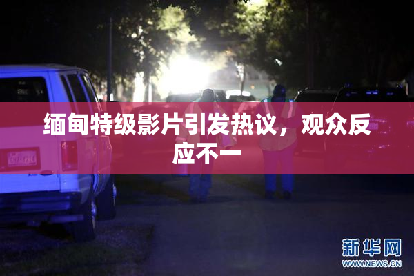 缅甸特级影片引发热议，观众反应不一
