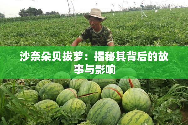 沙奈朵贝拔萝：揭秘其背后的故事与影响