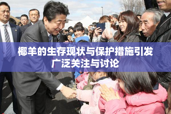 椰羊的生存现状与保护措施引发广泛关注与讨论