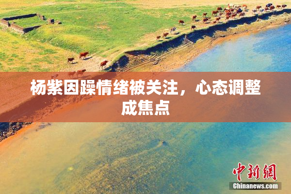 杨紫因躁情绪被关注，心态调整成焦点