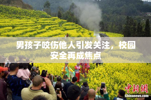 男孩子咬伤他人引发关注，校园安全再成焦点