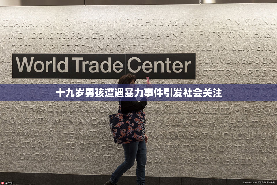 十九岁男孩遭遇暴力事件引发社会关注