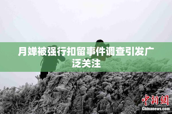 月婵被强行扣留事件调查引发广泛关注