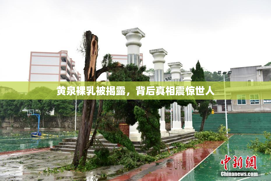黄泉裸乳被揭露，背后真相震惊世人