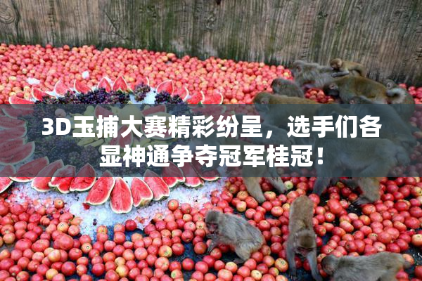 3D玉捕大赛精彩纷呈，选手们各显神通争夺冠军桂冠！
