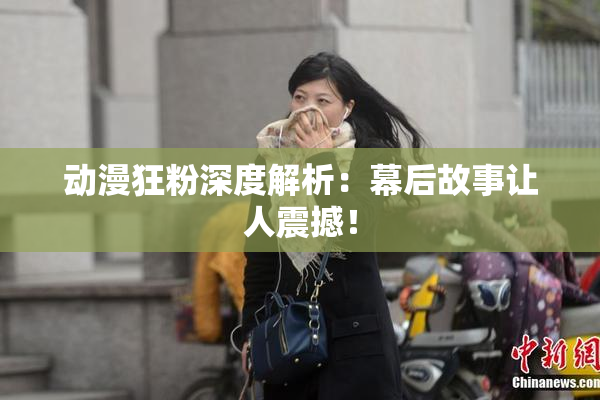 动漫狂粉深度解析：幕后故事让人震撼！