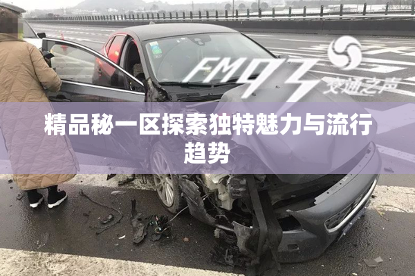 精品秘一区探索独特魅力与流行趋势