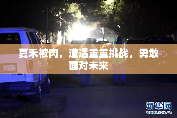 夏禾被肉，遭遇重重挑战，勇敢面对未来