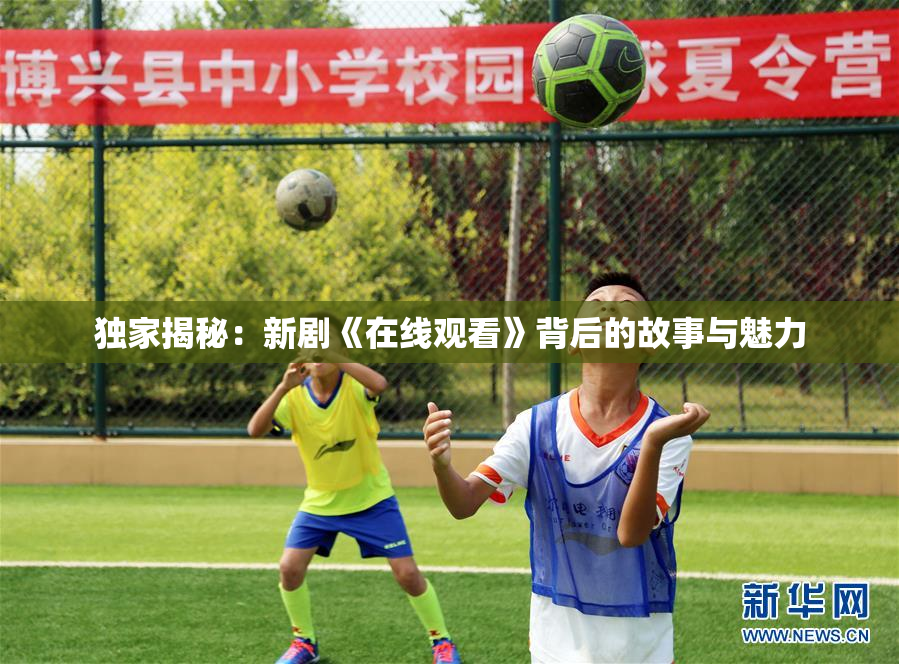 独家揭秘：新剧《在线观看》背后的故事与魅力