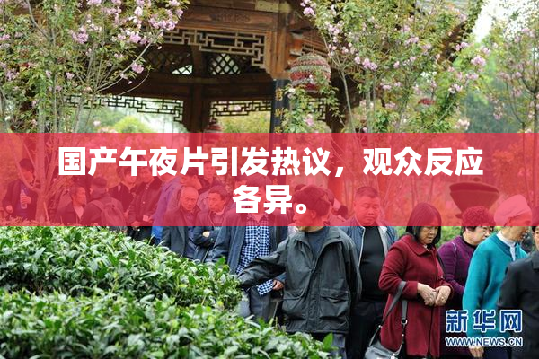 国产午夜片引发热议，观众反应各异。