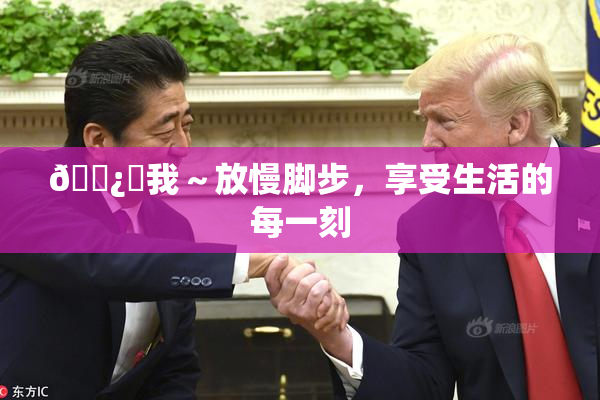 🌿‌我～放慢脚步，享受生活的每一刻