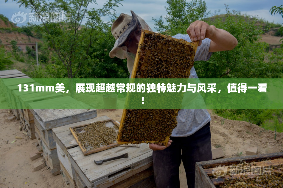 131mm美，展现超越常规的独特魅力与风采，值得一看！