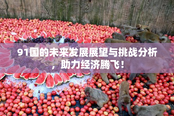91国的未来发展展望与挑战分析，助力经济腾飞！