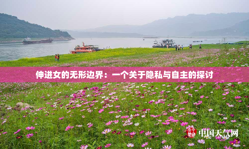 伸进女的无形边界：一个关于隐私与自主的探讨