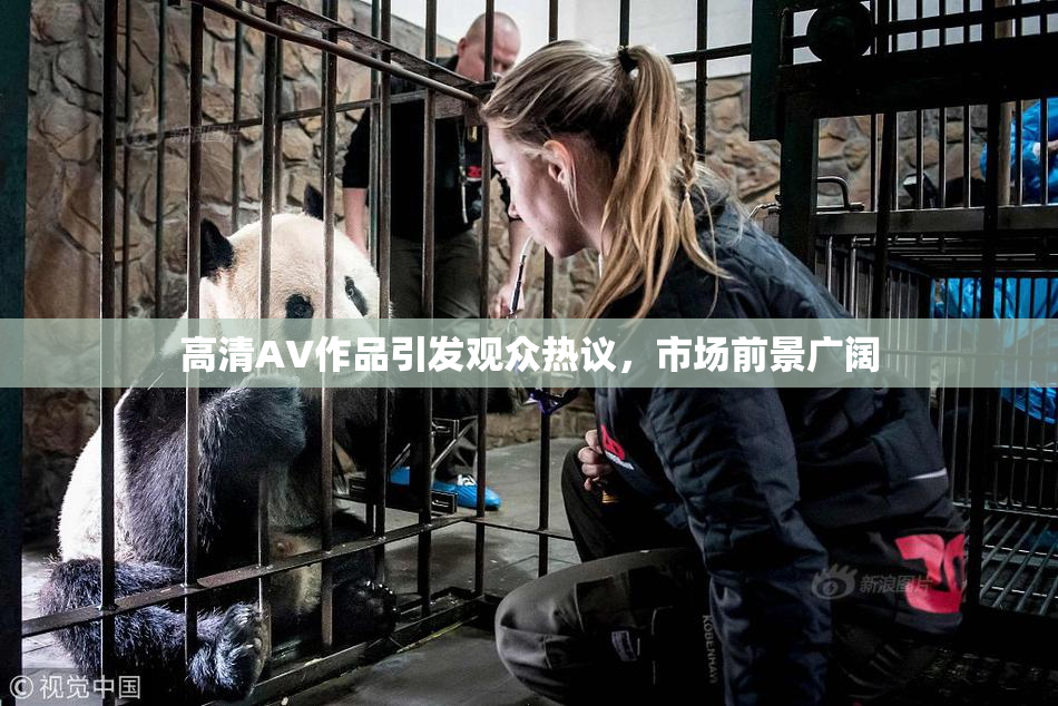 高清AV作品引发观众热议，市场前景广阔
